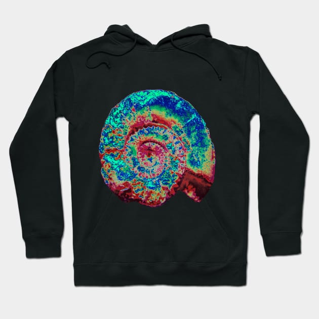 Ammonite Hoodie by Petemoyes